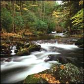 Negativo Balance Medioambiental