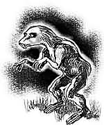 Una criatura similar a �sta fue la que vio el matrimonio. Ilustraci�n:  De la Barra