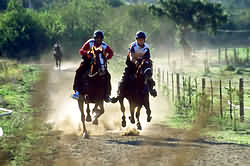 Foto: www.enduroecuestre.cl