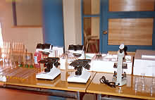 Haz click en la imagen para verla ampliada.