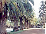 Parque General San Mart&iacute;n de Mendoza