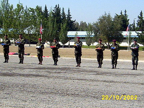 Click en la im&aacute;gen para ir al Indice inicial del reportaje