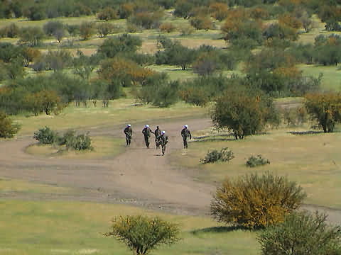 Click en la im&aacute;gen para ir al Indice de la secci&oacute;n