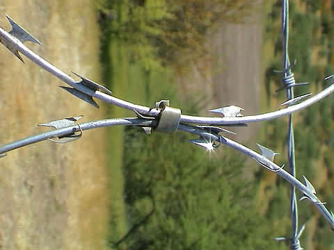 Click en la im&aacute;gen para ir al Indice de la secci&oacute;n