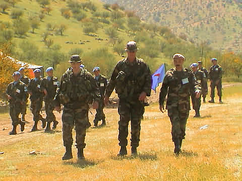 Click en la im&aacute;gen para ir al Indice de la secci&oacute;n