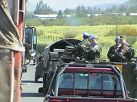 tamarugal_4_04.JPG (39kb)