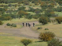 tamarugal_4_11.JPG (29kb)