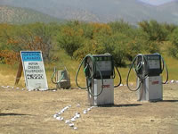 tamarugal_4_15.JPG (37kb)