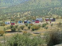 tamarugal_4_17.JPG (40kb)