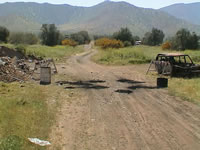 tamarugal_4_23.JPG (31kb)