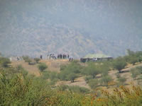 tamarugal_4_26.JPG (25kb)