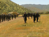 tamarugal_4_33.JPG (30kb)