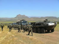 tamarugal_4_36.JPG (25kb)