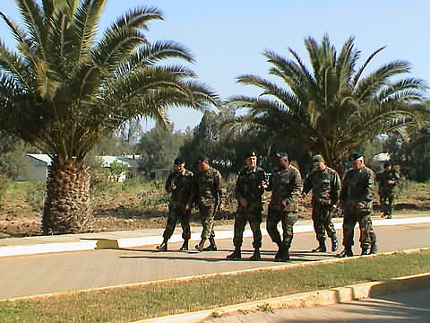 Click en la im&aacute;gen para ir al Indice de la secci&oacute;n