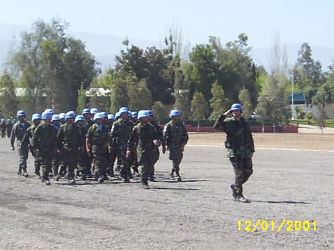 Click en la im&aacute;gen para ir al Indice de la secci&oacute;n