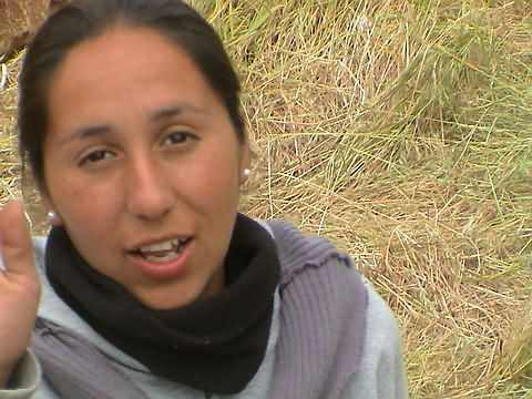 Click en la im&aacute;gen para ir al Indice de la secci&oacute;n