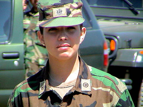 Click en la im&aacute;gen para ir al Indice de la secci&oacute;n