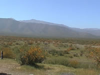 Vista general de la zona por donde deber�n desplazarse las Fuerzas de Paz. (19kb)