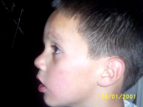 Click en la im&aacute;gen para ir al Indice de la secci&oacute;n