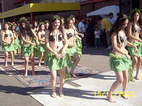 Click en la im&aacute;gen para ir al Indice de la secci&oacute;n