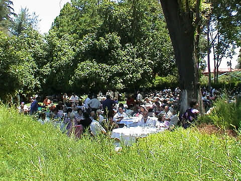 Click en la im&aacute;gen para ir al Indice de la secci&oacute;n