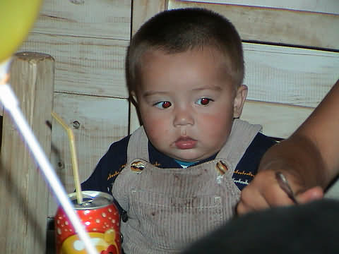 Click en la im&aacute;gen para ir al Indice de la secci&oacute;n