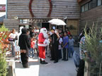 navidad_chicureo_01.jpg (51kb)