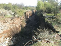 Quebrada El Manzano, al poniente del camino. completamente socabado. (63,656 bytes)