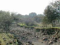 Quebrada El Manzano, en Polo Manquehue 4, entrada enbancada. (55,641 bytes)