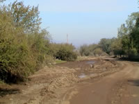 Corte en camino Chicureo/Guay-Guay por quebrada imprevista. Vista norte/sur. (38,990 bytes)