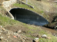 Paso de la quebrada bajo el camino al fundo Chicureo. (67,175 bytes)