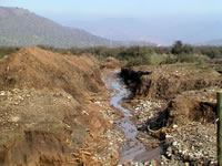 El camino a La Dehesa al sur del camino al fundo Chicureo. (53,525 bytes)
