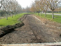 Esto que parece una vereda es el canal embancado de la quebrada a la salida del Polo 1. (71,023 bytes)