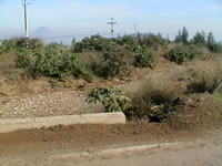 Continuaci�n del canal abajo del camino a Guay-Guay semi embancado. (51,076 bytes)