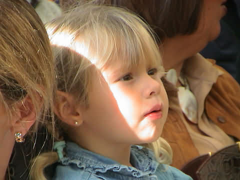 Click en la im&aacute;gen para ir al Indice de la secci&oacute;n