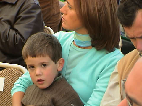 Click en la im&aacute;gen para ir al Indice de la secci&oacute;n