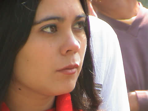 Click en la im&aacute;gen para ir al Indice de la secci&oacute;n