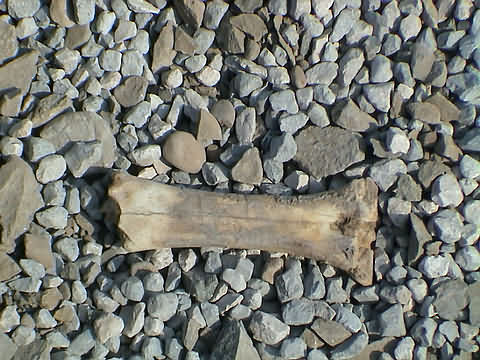 Click en la im&aacute;gen para ir al Indice de la secci&oacute;n