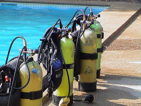 Click en la im&aacute;gen para ir al Indice de la secci&oacute;n