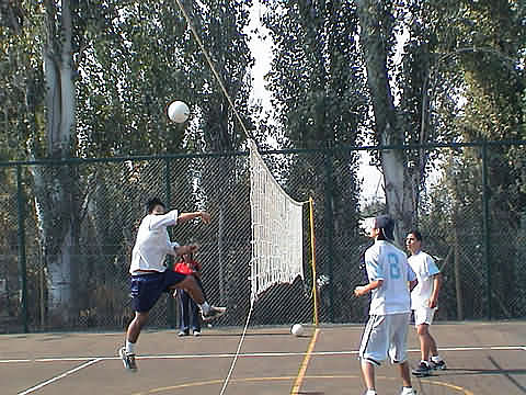 Click en la im&aacute;gen para ir al Indice de la secci&oacute;n