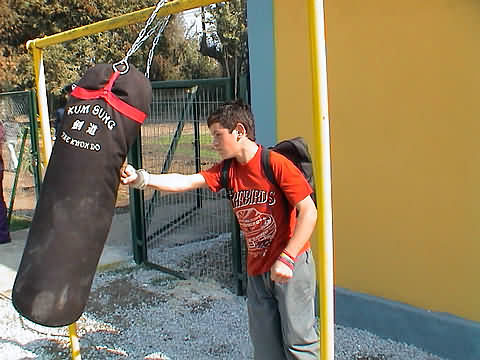 Click en la im&aacute;gen para ir al Indice de la secci&oacute;n