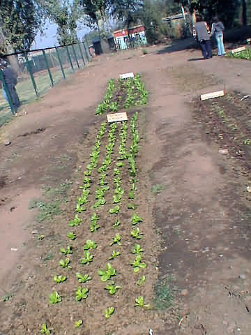 Click en la im&aacute;gen para ir al Indice de la secci&oacute;n