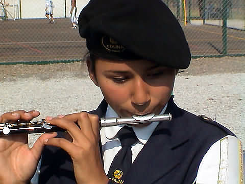 Click en la im&aacute;gen para ir al Indice de la secci&oacute;n