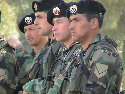 Click en la im&aacute;gen para ir al Indice de la secci&oacute;n