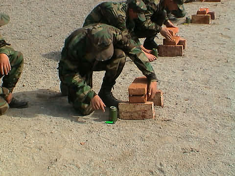 Click en la im&aacute;gen para ir al Indice de la secci&oacute;n