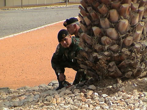 Click en la im&aacute;gen para ir al Indice de la secci&oacute;n