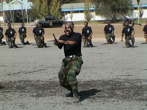 Click en la im&aacute;gen para ir al Indice de la secci&oacute;n