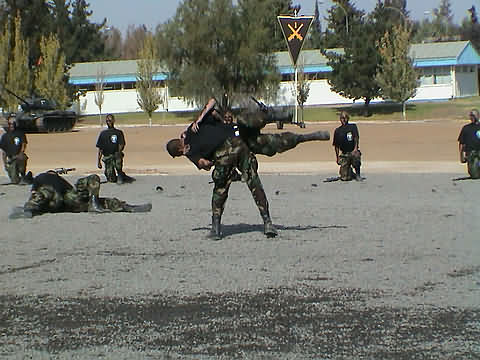 Click en la im&aacute;gen para ir al Indice de la secci&oacute;n