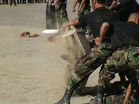 Click en la im&aacute;gen para ir al Indice de la secci&oacute;n