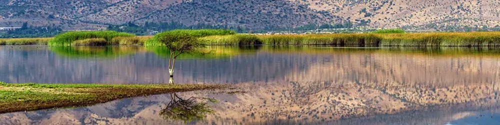 Foto del Santuario Laguna Batuco, ampl&iacute;a su zona de protecci&oacute;n